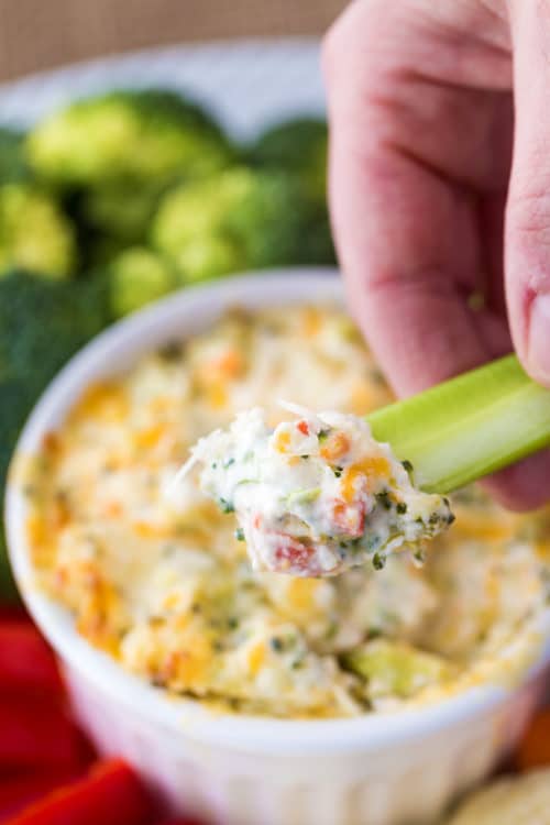 Hot broccoli dip on a stalk of celery being held up from a vegetable tray.