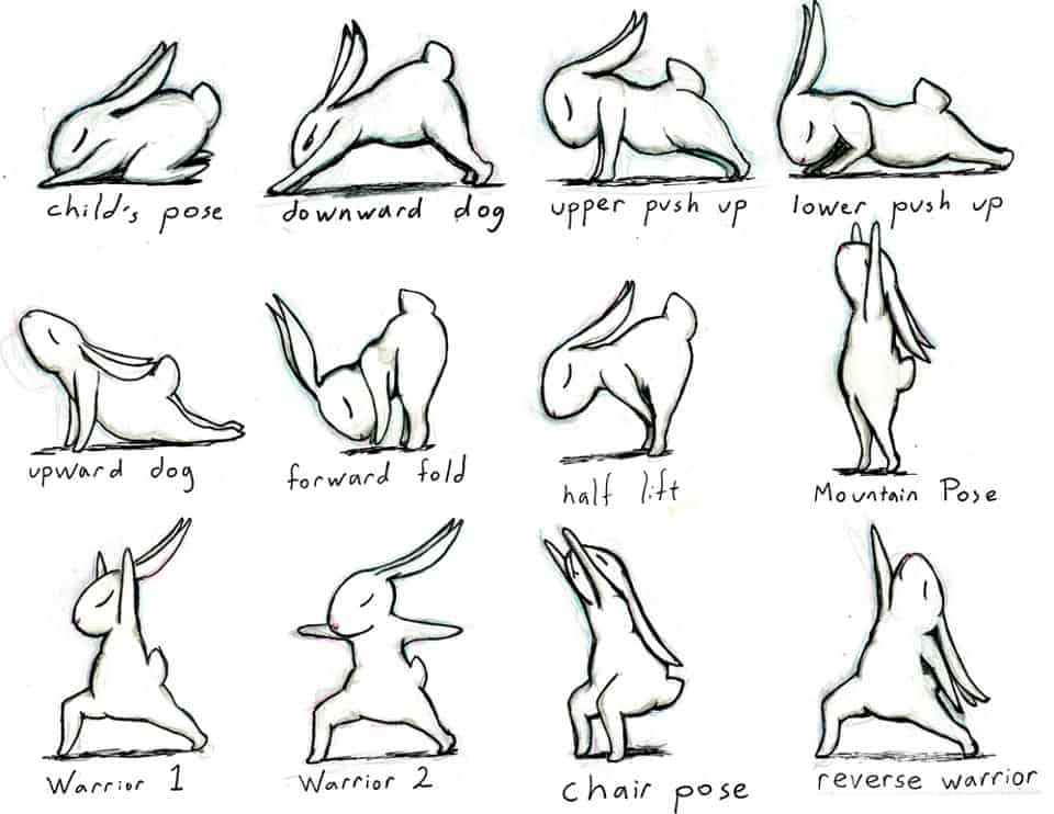 Sun Salutations with Bunny Yoga! I love these little guys, they're too cute.