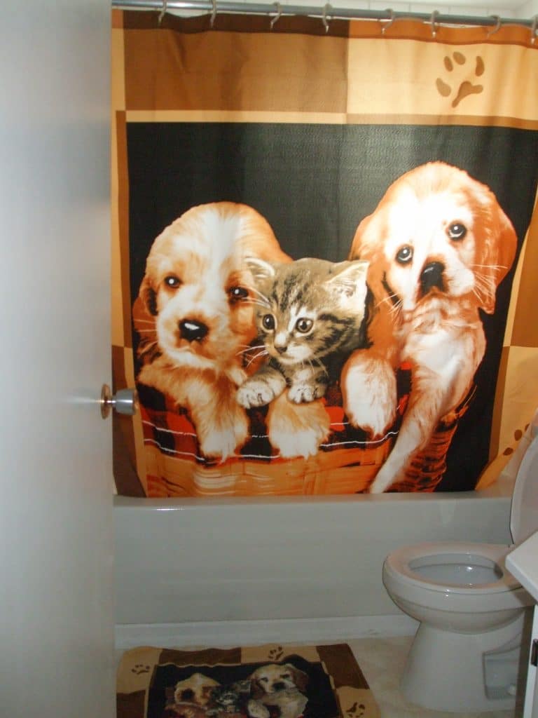 How NOT To Decorate a bathroom