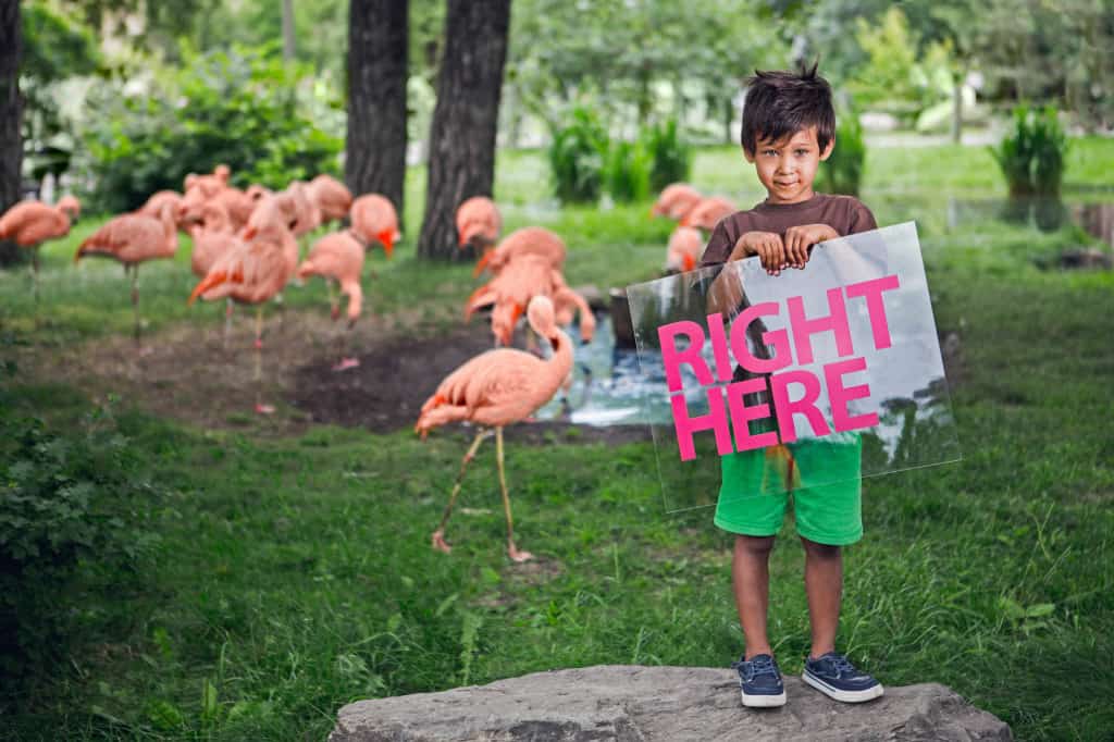 Visit the CalgaryZoo - Such an amazing place to bring your family