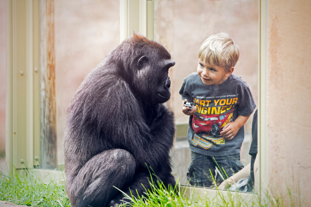 Making magical memories at the Calgary Zoo