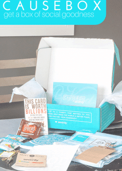 Causebox is a quarterly subscription box, that brings you $150 worth of stuff for $50 PLUS donates to a charity of your choice. See what products you receive in this quarter's review on The Bewitchin' Kitchen.