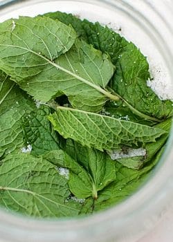 Minted Sugar recipe. Sprinkle on fruit for desserts, fruit salad, flavored whipped cream, sugar rimmed glasses for cocktails, tea and homemade iced tea recipes. | The Bewitchin' Kitchen