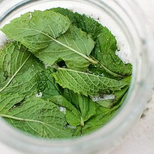 Minted Sugar recipe. Sprinkle on fruit for desserts, fruit salad, flavored whipped cream, sugar rimmed glasses for cocktails, tea and homemade iced tea recipes. | The Bewitchin' Kitchen