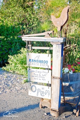 If you're visiting the Okanagan you have to check out the Kangaroo Creek Farm in Lake Country, BC (just outside Kelowna, British Columbia). Kids of all ages will love this educational farm, it's perfect for family travel.