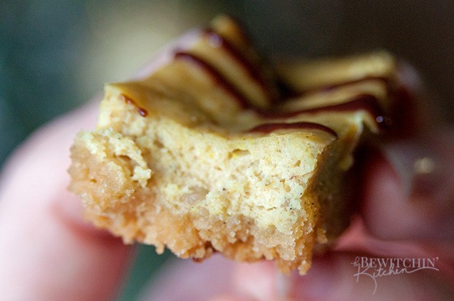 Eggnog Cheesecake Bars with a Chocolate Rum Drizzle - Oh my gosh! A simple and easy recipe that's perfect for holiday baking and a hit treat at Christmas parties. | thebewitchinkitchen.com