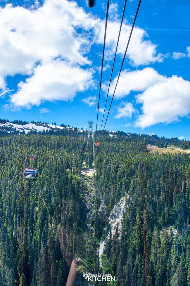 Stunning views from the Peak 2 Peak gondola in Whistler, British Columbia. Part of the top 10 things to do in Whistler during the summer. BC is a beautiful place to travel.