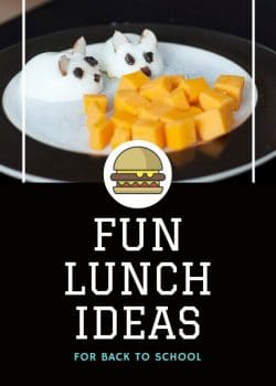 Take back your kids school lunch with these fun and healthy lunch ideas.