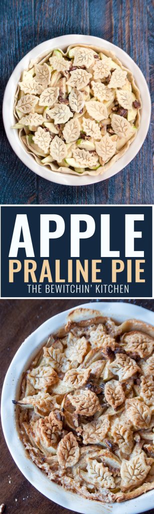 This Apple Praline Pie recipe is everything that is good about fall! Sweetened condensed milk, apples, pecans and cinnamon. I love fall dessert recipes!This Apple Praline Pie recipe is everything that is good about fall! Sweetened condensed milk, apples, pecans and cinnamon. I love fall dessert recipes!
