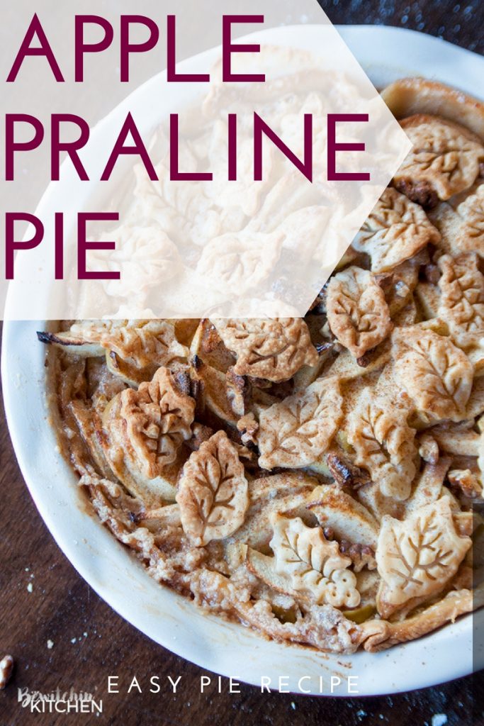 This Apple Praline Pie recipe is everything that is good about fall! Sweetened condensed milk, apples, pecans and cinnamon. I love fall dessert recipes!