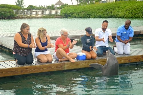 Dolphin Connection at Hawks Cay Resort in Duck Key (Florida Keys). Meeting the dolphins was such a treat but being educated on how YOU can help them is even better. This has been crossed off my family travel bucket list.