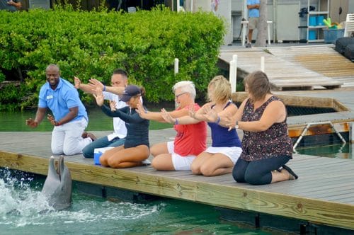 Dolphin Connection at Hawks Cay Resort in Duck Key (Florida Keys). Meeting the dolphins was such a treat but being educated on how YOU can help them is even better. This has been crossed off my family travel bucket list.