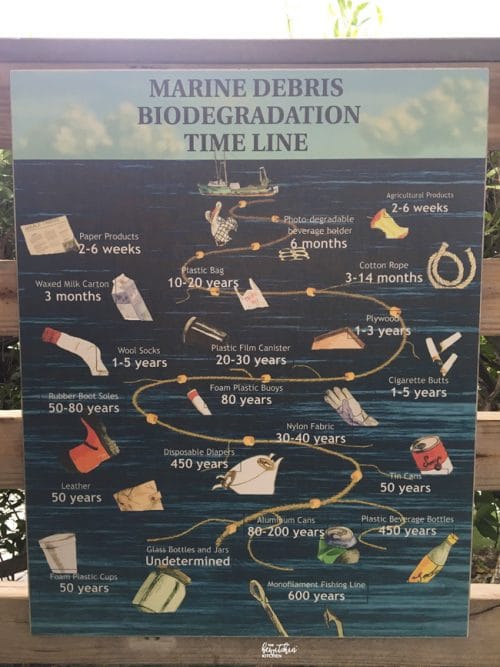 This is how long it takes for garbage to degrade in the ocean. I learned this at Dolphin Connection at Hawks Cay.