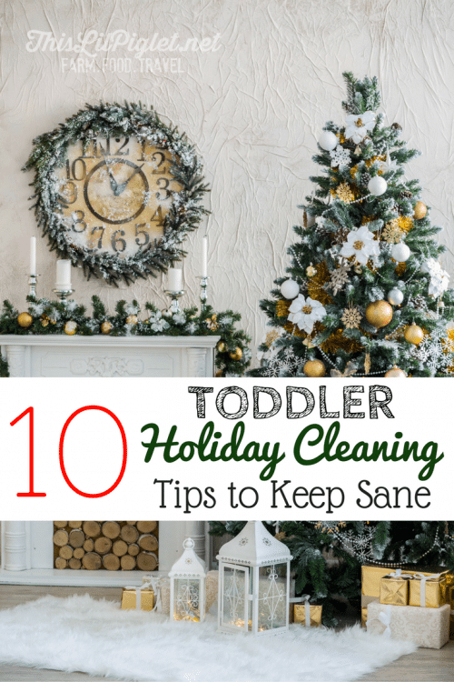 10 Holiday Cleaning Tips