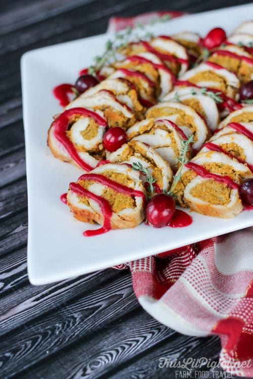 Stuffed Turkey Rolls with Cranberry Sauce - Vitamix Recipe