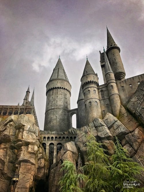 The Wizarding World of Harry Potter - A MUST visit in California.