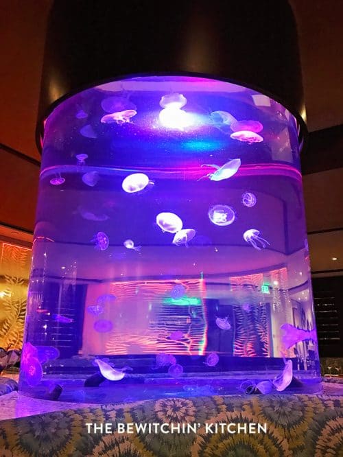 Jellyfish Tank - Oceana - Catamaran Beach Resort in San Diego California