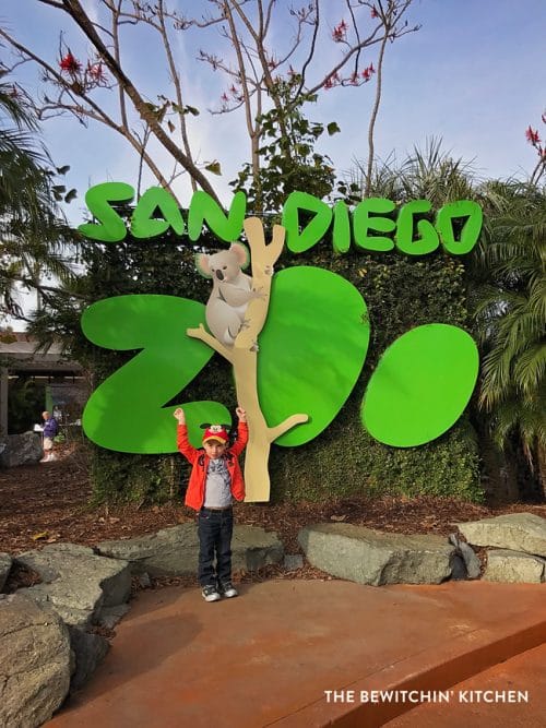 San Diego Zoo - so much fun for animal lovers and young kids!