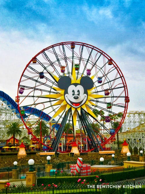 Disneyland hacks you need to know before you head to California. Save time and up the fun at the happiest place on earth with these Disneyland tips and tricks.