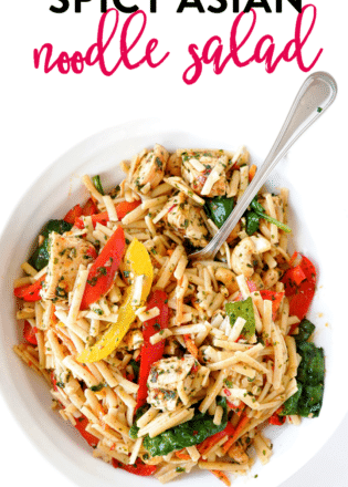 Spicy asian pasta salad recipe - a delicious cold pasta salad recipe with an asian dressing with sesame oil, chili flakes, chili paste, garlic and more.