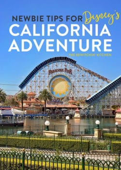 Disney's California Adventure Tips and Tricks for New Visitors. A quick beginners guide to a favorite Disneyland park.