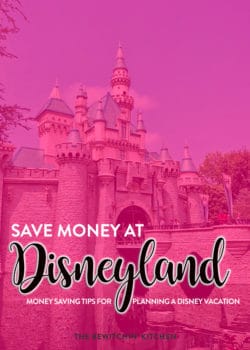 Planning a Disney vacation? Save money at Disneyland with these money saving tips from stroller rentals to hotels near Disneyland.