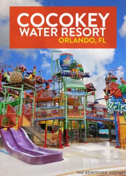 Huge water park and waterslides for families in orlando florida