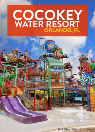 Huge water park and waterslides for families in orlando florida