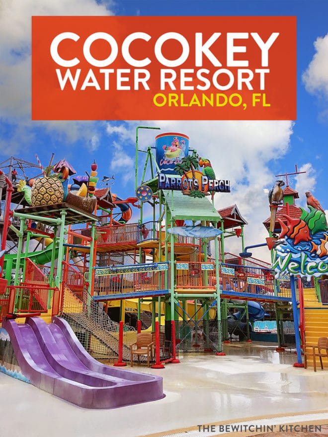 Huge water park and waterslides for families in orlando florida 