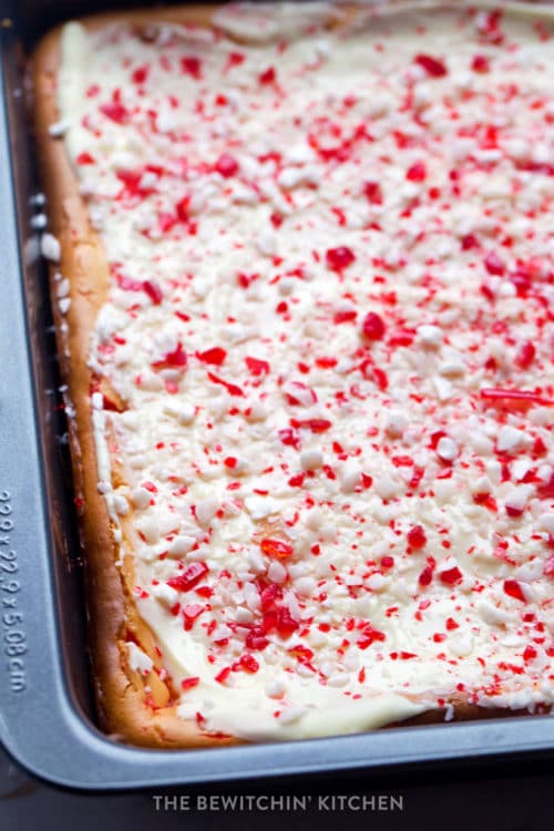 Candy Cane Cheesecake Bars