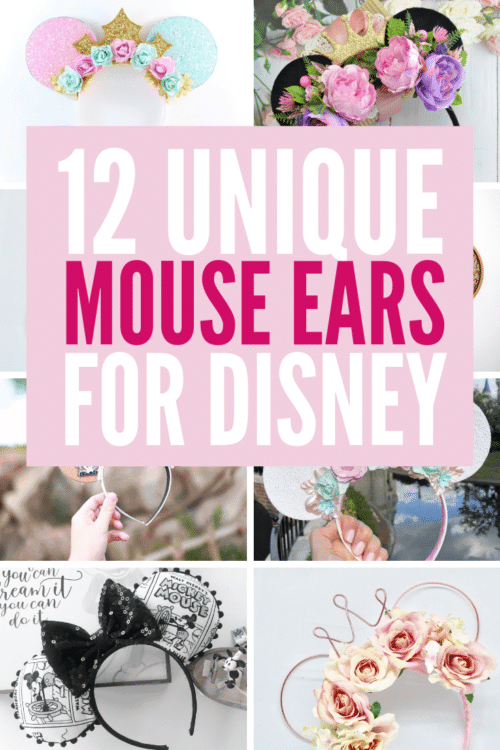 variety of unique mouse ears for disney