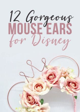 gorgeous wire mouse ears