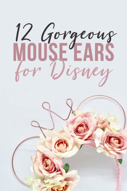 gorgeous wire mouse ears