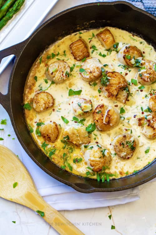 Pan seared scallops simmering in a garlic cream sauce