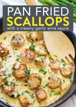 pan fried scallops in a creamy garlic wine sauce