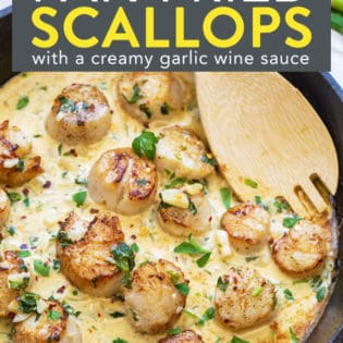pan fried scallops in a creamy garlic wine sauce