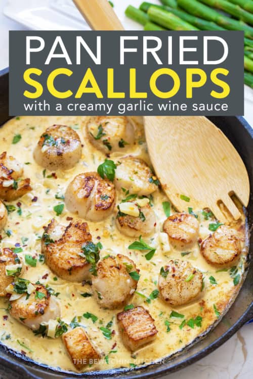 pan fried scallops in a creamy garlic wine sauce