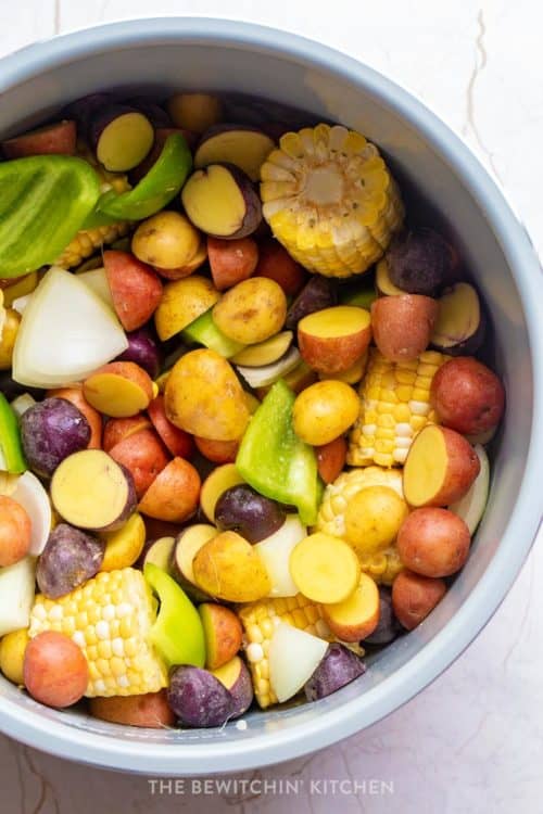 NINJA FOODI VEGETABLE RECIPES