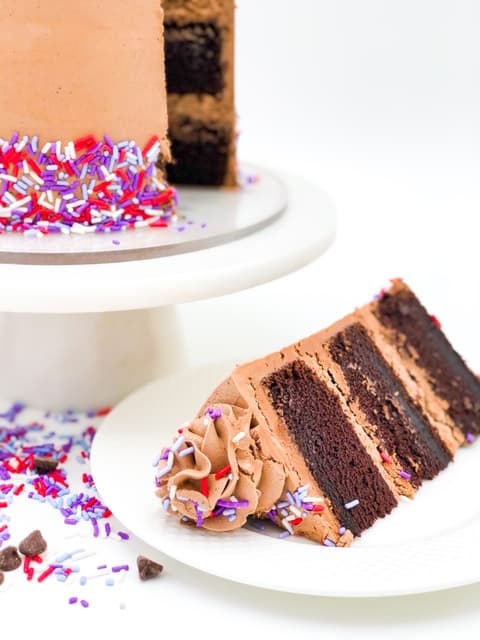 rich chocolate cake recipe on it's slice with colorful sprinkles