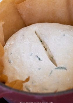 scored bread before going in the oven