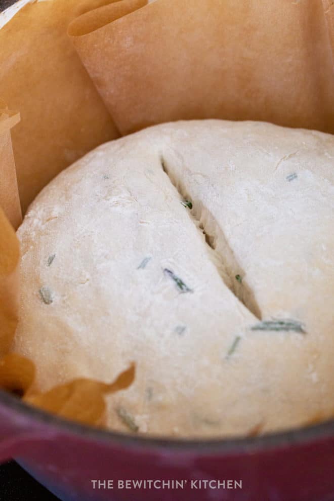 scored bread before going in the oven