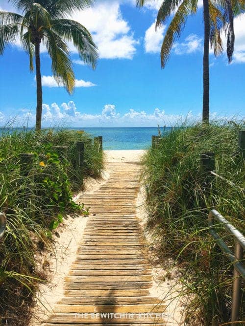 One of the Key West beaches with a wooden walkway leading to the sandy and ocean. There are two palm trees in the background and seagrass lining the walkway.