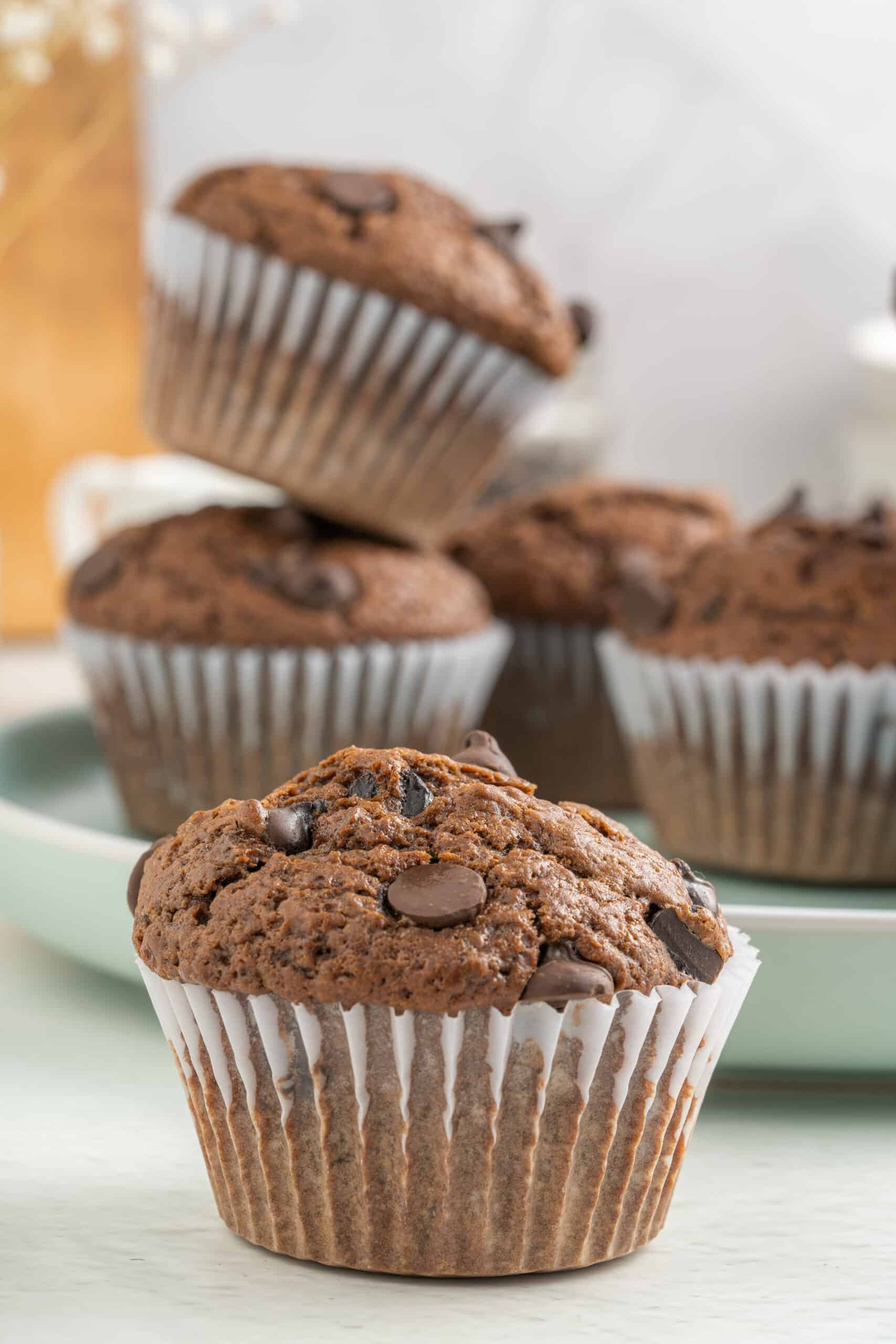 Double Chocolate Muffins
