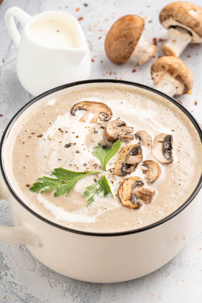 Hungarian Mushroom Soup Recipe