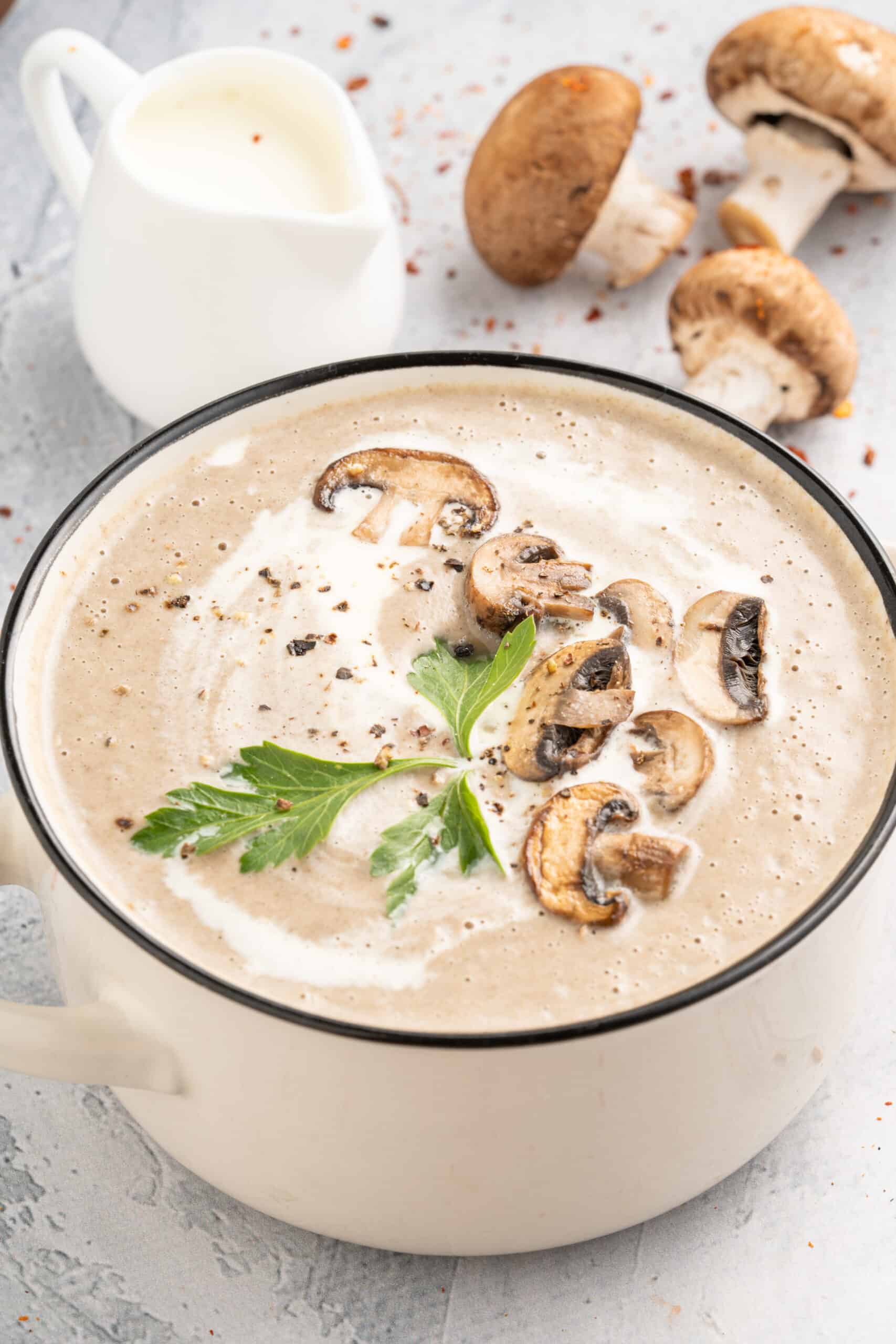Hungarian Mushroom Soup Recipe 