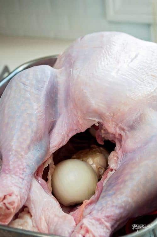 Close up of turkey stuffed with garlic and onion to show how to cook a turkey in the oven to be moist.