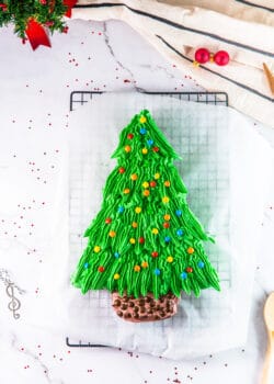 Christmas Tree Cake | The Bewitchin' Kitchen
