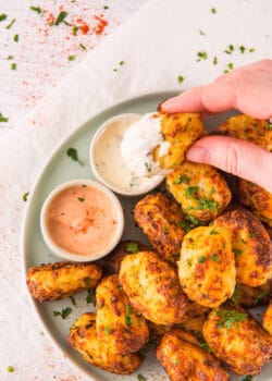 air fryer tater tots