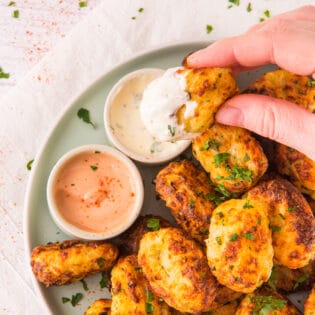 air fryer tater tots