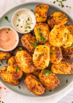 air fryer tater tots